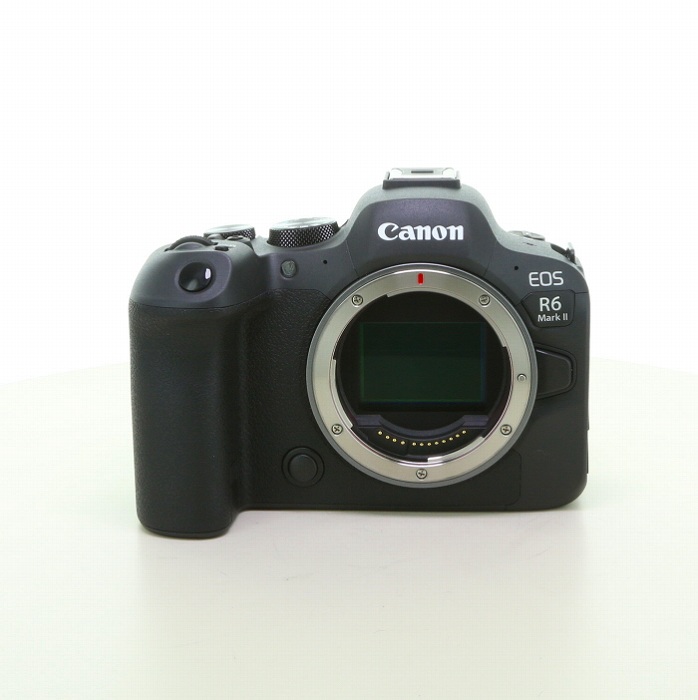 yÁz(Lm) Canon EOS R6 MARK2 {fC