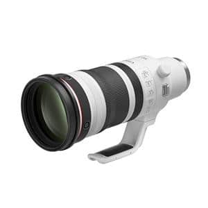 yViz(Lm) Canon RF100-300mm F2.8 L IS USM