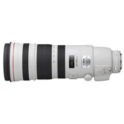 yViz(Lm) Canon EF200-400/F4L IS USM EXTENDER 1.4X Y[Y ]