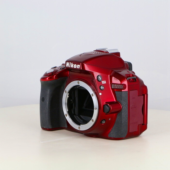 yÁz(jR) Nikon D5300 ch