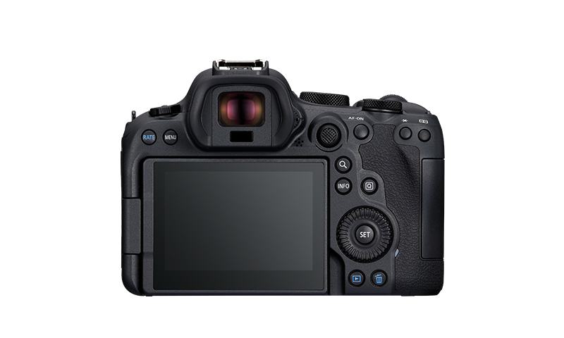 yViz(Lm) Canon EOS R6 Mark II {fB