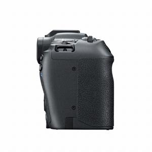 yViz(Lm) Canon EOS R8 RF24-50mm IS STM YLbg