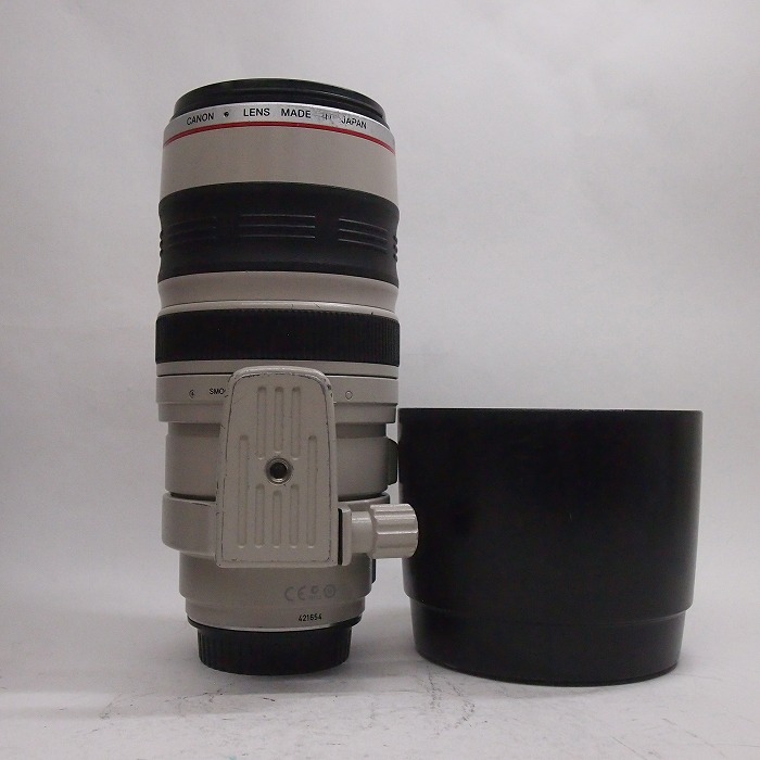 yÁz(Lm) Canon EF100-400/4.5-5.6L IS USM