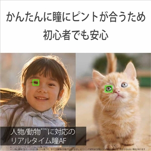 (�\�j�[) SONY ��6400 �{�f�B�[ �u���b�N (ILCE-6400)