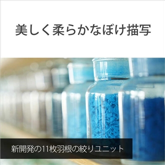 �\�j�[ FE 24-70mm F2.8 GM II [SEL2470GM2]