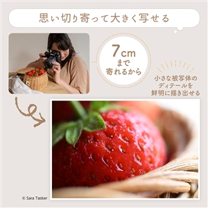 (�j�R��) Nikon NIKKOR Z DX MC 35mm F1.7