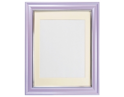 (����) VANJOH ������ V380�J���[�ё��z ���Z�� �p�[�v���yVSCN380-H-PU�z����10���P��