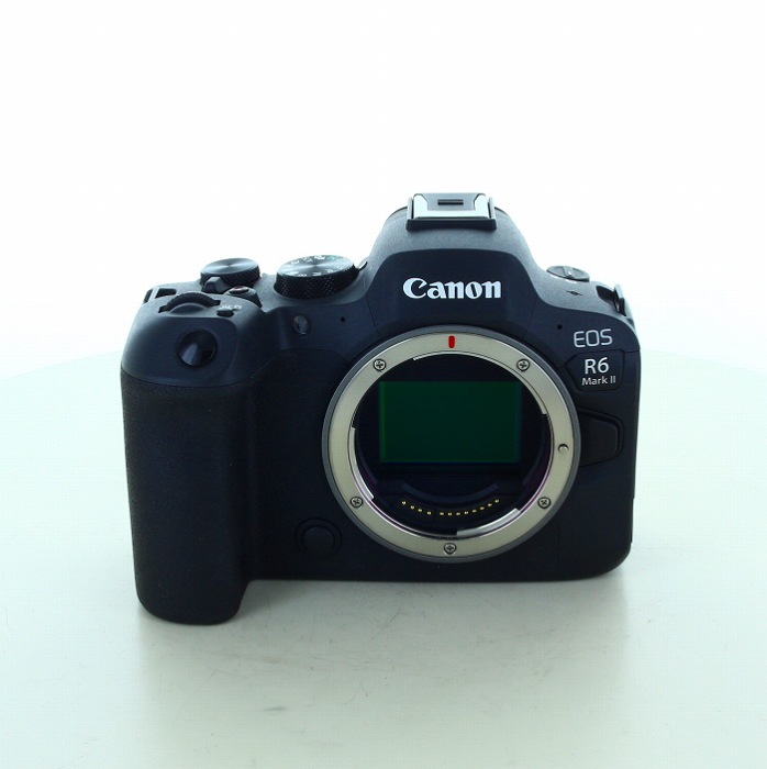 �y���Áz(�L���m��) Canon EOS R6 MARK2 �{�f�C