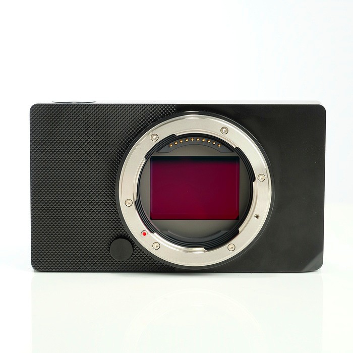 �y���Áz(�V�O�}) SIGMA BF �{�f�C �u���c�N