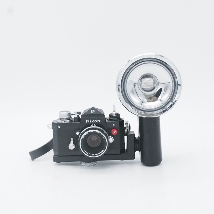 �y���ÁzSHARAN �j�R��F���f�� �u���b�N