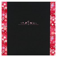 (�|��)TAKENO 145-0002 �a���p�䎆/��×�ԂR�� �Z�� 1��