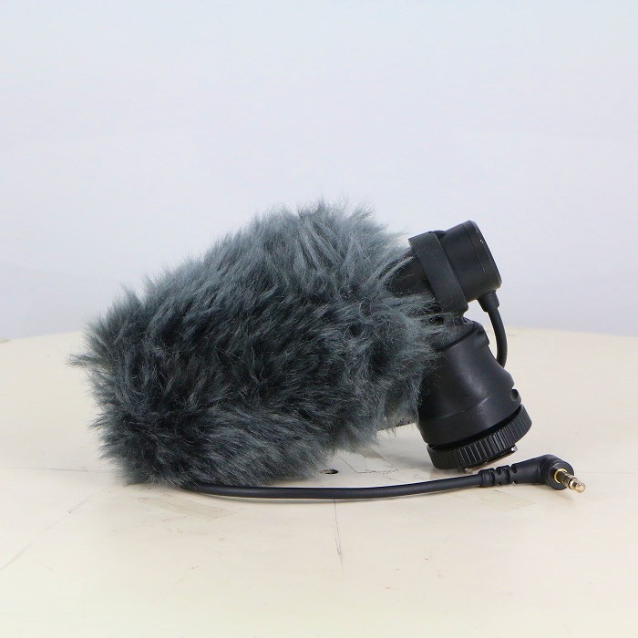 �y���Áz(�L���m��) Canon DM-E100 �X�e���I�}�C�N���z��