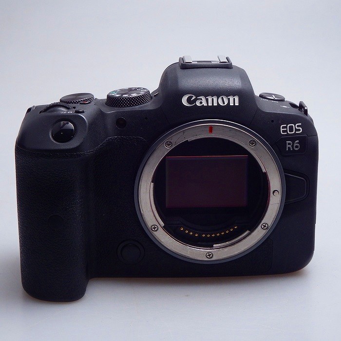 �y���Áz(�L���m��) Canon EOS R6 �{�f�C
