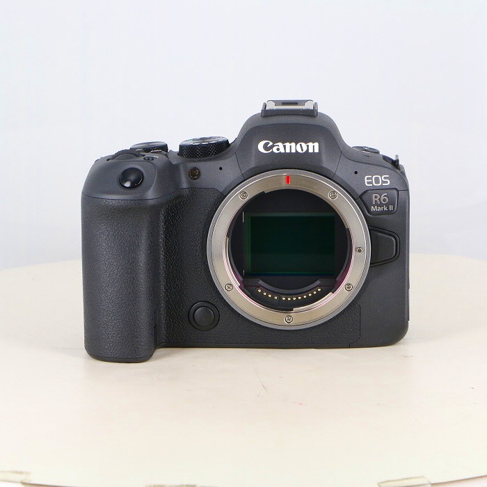 yÁz(Lm) Canon EOS R6 MarkII {fB