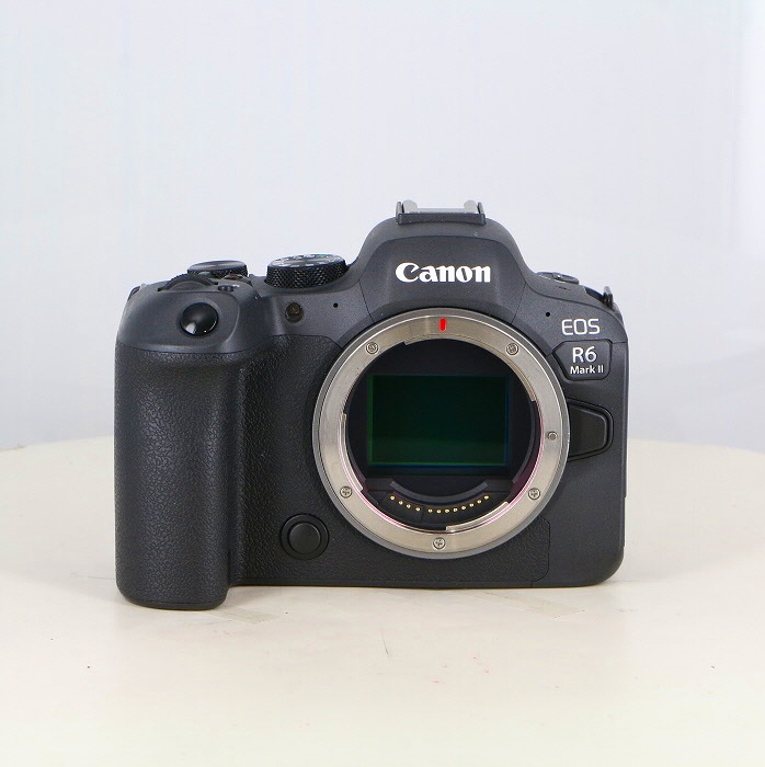 �y���Áz(�L���m��) Canon EOSR6 MarkII �{�f�B