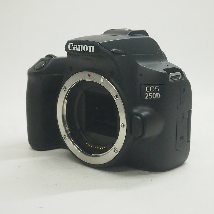 【中古】(キヤノン) Canon EOS 250D ボディ (KISS X10海外モデル)