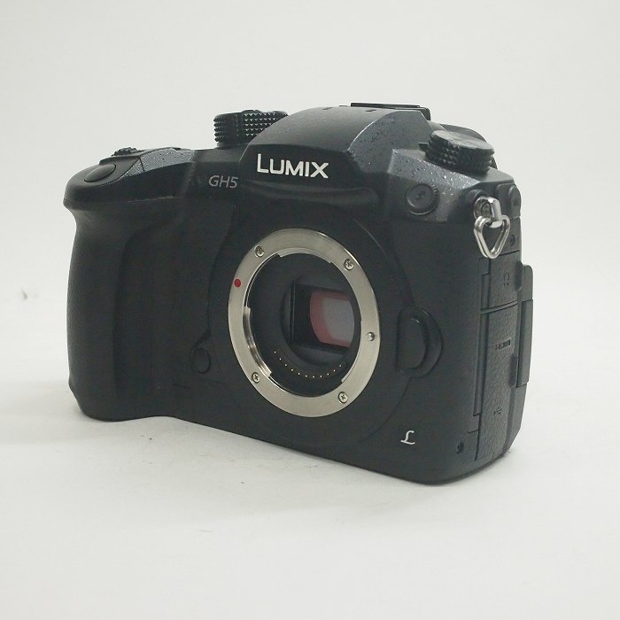 【中古】(パナソニック) Panasonic DC-GH5ボディ