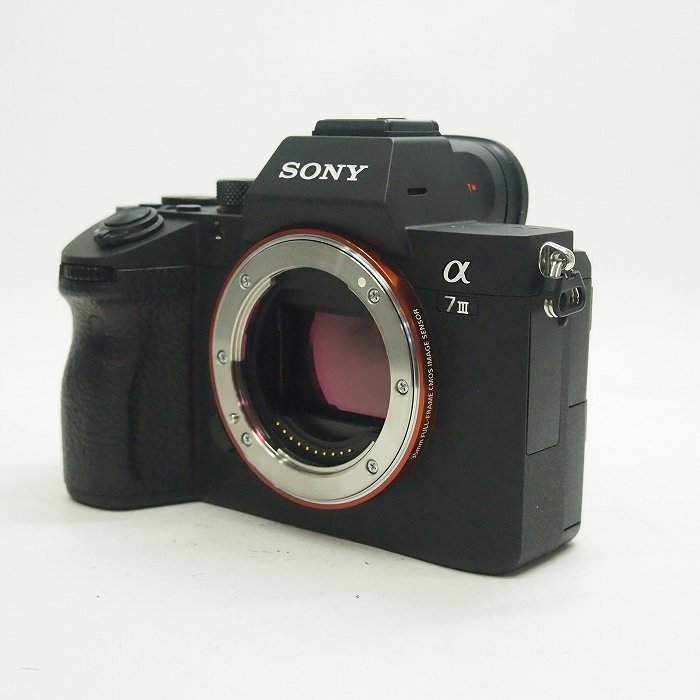 �y���Áz(�\�j�[) SONY ��7III(ILCE-7M3) �{�f�B