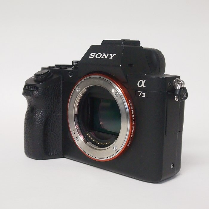 �y���Áz(�\�j�[) SONY ��7II(ILCE-7M2) �{�f�B