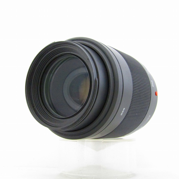 【中古】(ソニー) SONY DT55-200/4-5.6