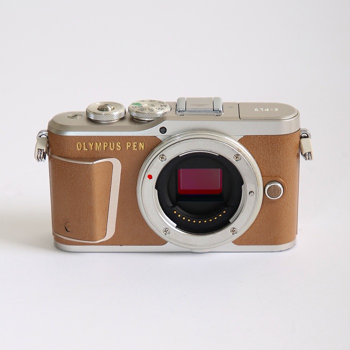 �y���Áz(�I�����p�X) OLYMPUS E-PL9 �{�f�C �u���E��