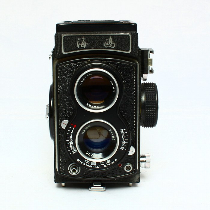 �y���ÁzSeagull