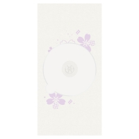 (�|��)TAKENO 139-0042 �؉�^��p���g �� CD��