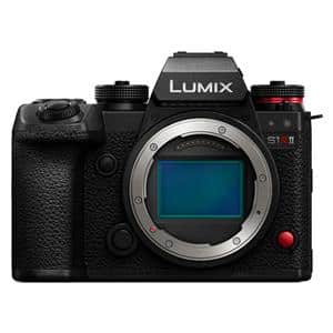 yViz(pi\jbN) Panasonic LUMIX S1RII {fB DC-S1RM2