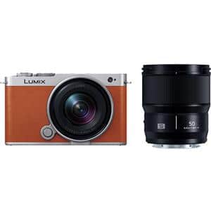 yViz(pi\jbN) Panasonic LUMIX S9 _uYLbg DC-S9W-D LIW