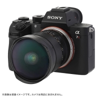 (�������w) TTArtisan 11mm F2.8 Fisheye ���჌���Y(�\�j�[E�p/�t���T�C�Y�Ή�)