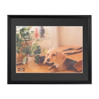 (�i�J�o���V) Nakabayashi �������ʐ^�z �`�S�T�C�Y �y�u���b�N�zF-SP-110-D