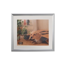 (�i�J�o���V) Nakabayashi �������ʐ^�z �l�؃T�C�Y �y�V���o�[�zF-SP-111-SV