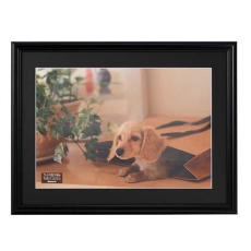 (�i�J�o���V) Nakabayashi �������ʐ^�z ���C�h�l�؃T�C�Y �y�u���b�N�zF-SP-112-D