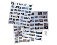 (����) VANJOH �ʐ^�W���p�z���_�[ 2L���p