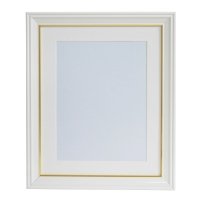 (�t�W�J���[)FUJICOLOR �ё��z��(������PET�d�l) A4 �p�[���z���C�g