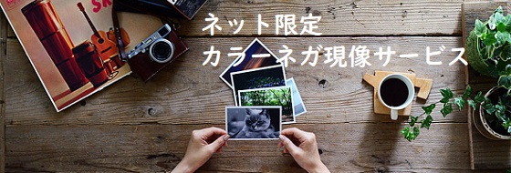 �J���[�l�K�t�C���������T�[�r�X