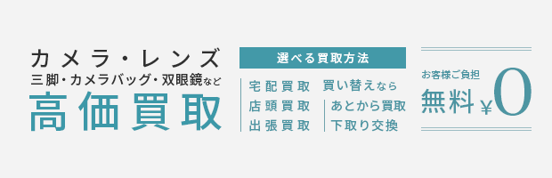 �J�����E�����Y��������