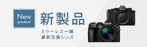 �b��̐V���i